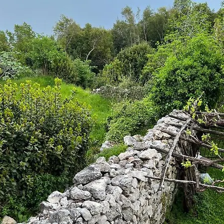Seaview Croatia Karla Apartment Moscenicka Draga