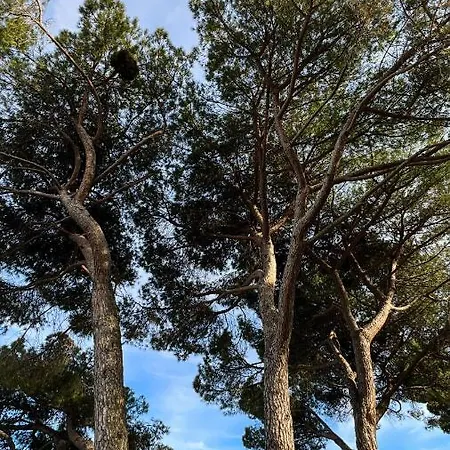 Seaview Croatia Karla Appartamento *